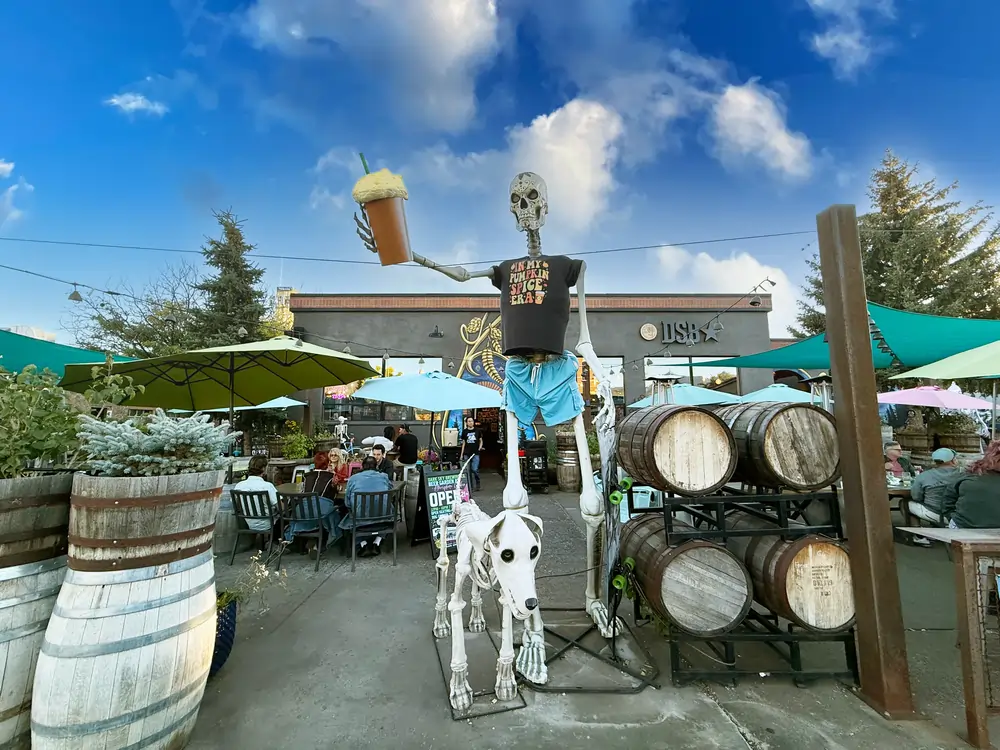 dark sky brewery